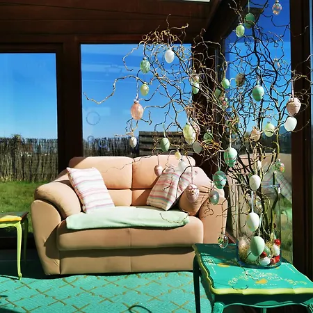 Izzy's Rainbow House Ferienhaus